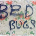 Death by Bed Bug